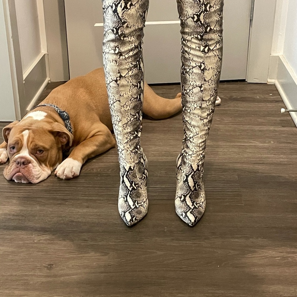Steve Madden Snake Print Boots